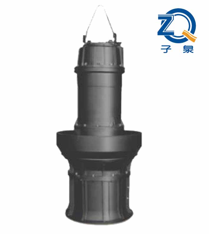 QZ QH型潛水軸流泵